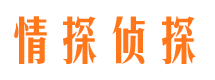 凭祥找人公司